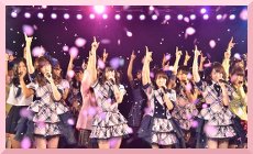 akb48